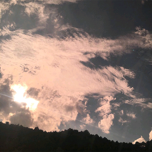 草莓视频免费观看
