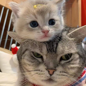 日本成人自拍小电影
