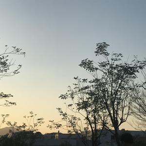 深圳人BBBBB桑BBBB
