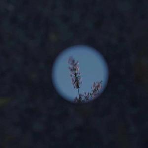 动漫美女裸体露胸无遮挡无马赛
