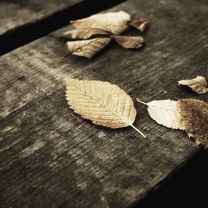 国产美女自慰在线观看
