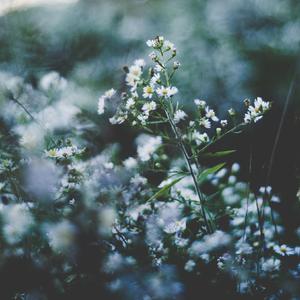 二人世界高清视频播放
